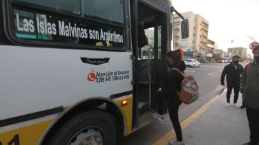 El colectivo será gratuito durante las elecciones. Foto: Oscar Livera