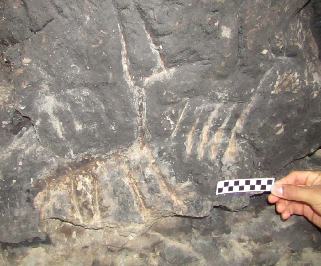 El hallazgo en Pilo Lil se une a otros descubrimientos de arte rupestre en la zona , en las cuencas de los ríos Aluminé y Collón Curá. Foto: Gentileza Neuquén Informa