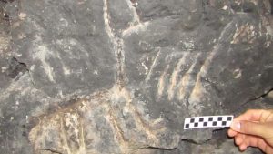 Hallaron un nuevo sitio arqueológico en Neuquén con arte rupestre en cuevas
