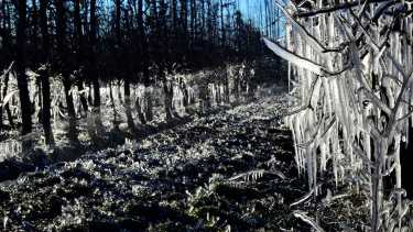 En algunas zonas el termómetro llegó a los 1,5 bajo cero. foto Néstor Salas