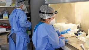 Hay menos de 3.000 pacientes covid en terapia intensiva en el país, informó el parte nacional