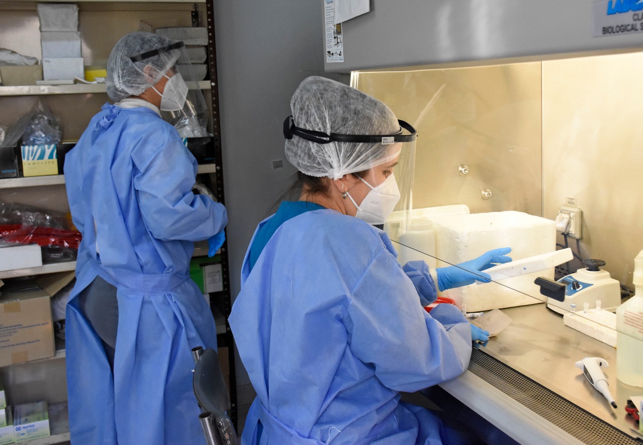 Las muestras de hisopados son analizadas en el Laboratorio Central de Neuquén. Foto: archivo Florencia Salto