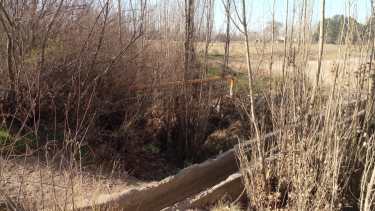 Los vecinos están juntando firmas por internet que tener un sustento y para presentar un proyecto nuevo en Obras Públicas. 