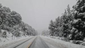 Rutas intransitables en Neuquén por viento blanco y acumulación de nieve