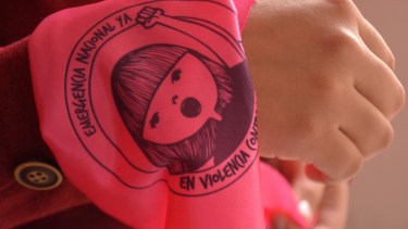 La campaña por la Emergencia en Violencia comenzó en 2015 con Ni una Menos