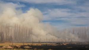 Nuevo incendio de pastizales en un sector rural de Roca