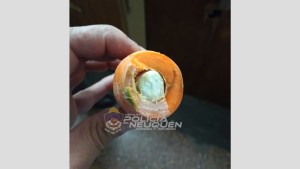 Descubren dos zanahorias con cocaína en su interior: eran para un interno de la Comisaría de Centenario