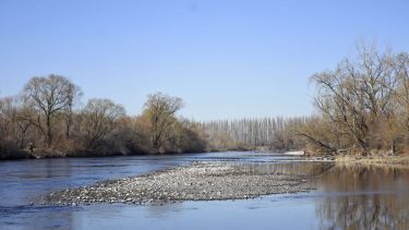 La bajante del río Neuquén desnuda islas en su valle inferior (Oscar Livera)