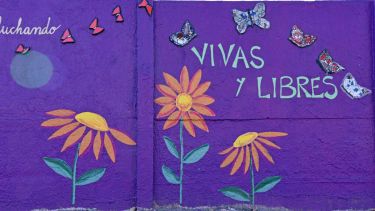 Las medidas cautelares impuestas con antelación habían sido incumplidas por el denunciado, que es su expareja. Foto Florencia Salto.