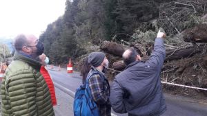 La amenaza de derrumbe en la ladera de La Angostura sigue vigente: buscan como contenerla