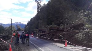 Las primeras pistas sobre lo que ocurrió en el derrumbe de la ladera de La Angostura