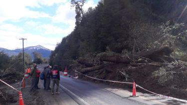 El lunes un equipo técnico-científico recorrió el lugar del desprendimiento. (Gentileza Diario Andino)