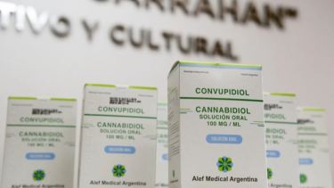 Salud hizo la primera entrega de cannabis medicinal a pacientes del Hospital Garrahan.