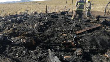 El galpón se incendió con los animales adentro el 14 de julio pasado. (Zapala Noticias)