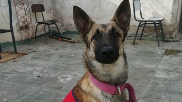 Roma está perdida desde ayer.