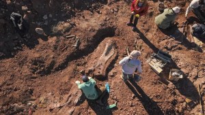 A orillas de la Ruta 237 encontraron los fósiles de un dino de 96 millones de años