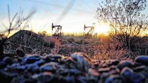 En 2022, las operadoras de Río Negro compensarán la emisión de gases