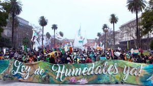 Más de 400 organizaciones socioambientales marcharon por la Ley de Humedales