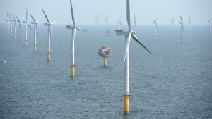 TotalEnergies podría participar en el parque eólico marino más grande del mundo