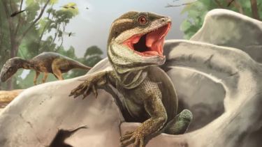 Así se veía el Taytalura en medio de Ischigualasto.