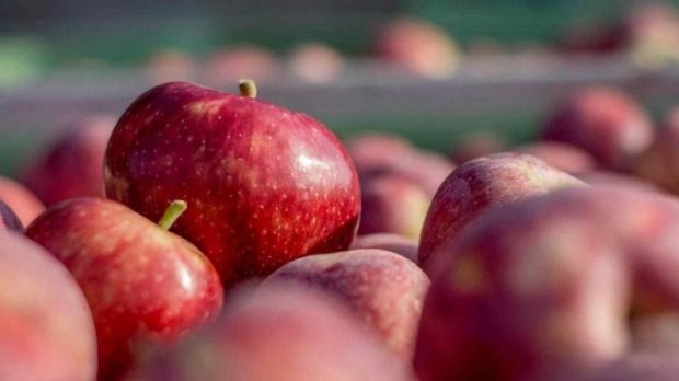 El consumo de manzanas está en los mínimos de los últimos 60 años