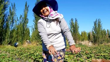 EL 8% de la población de la provincia es rural, y casi la mitad son mujeres. Foto: Gentileza 
