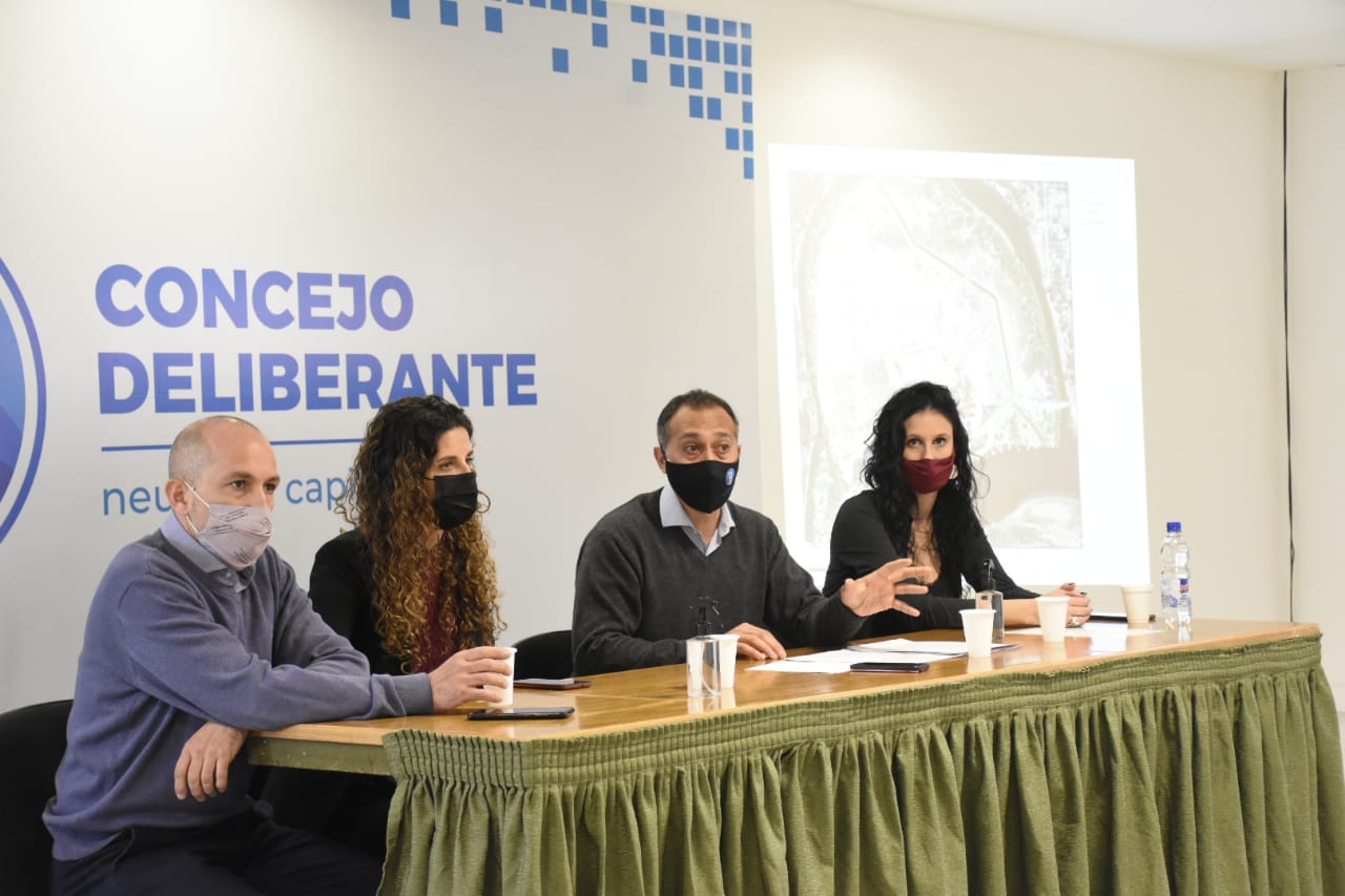 Concejales y dirigentes del Frente de Todos realizaron una conferencia por la Isla 132 en el Deliberante de Neuquén. Foto: Florencia Salto.