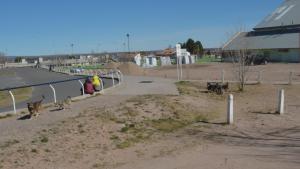 Recuperan las áreas abandonadas del polideportivo de Gregorio Álvarez, en Neuquén