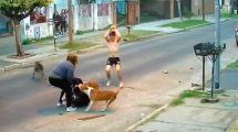 Imagen de Salvaje ataque de tres perros a una mujer quedó grabado por la cámara de seguridad