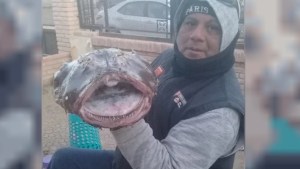 Hallaron un extraño pez en la costa argentina, con colmillos y «antena»