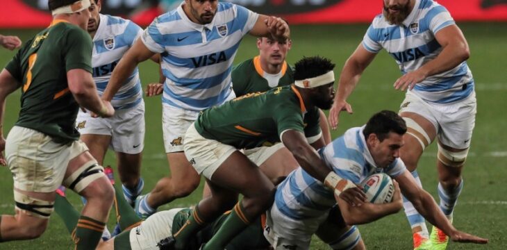Los Pumas perdieron con Sudáfrica en el comienzo del Rugby Championship. Gentileza.