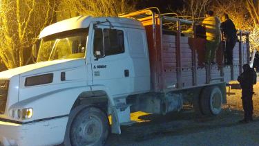 Brigada Rural de Valle Azul secuestró caballos y costillares en operativo de control