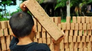 El trabajo infantil y los derechos laborales de los niños