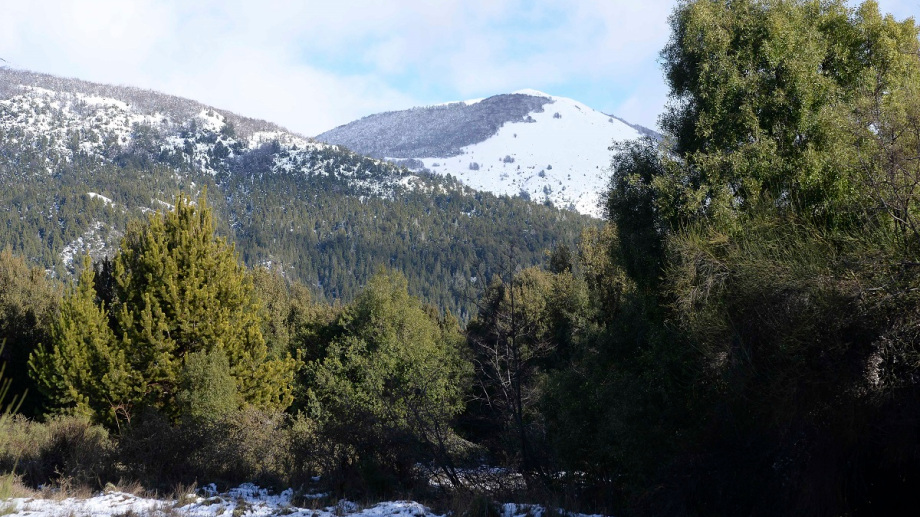 El gobierno de Gennuso quiere rematar cinco valiosos lotes en la zona oeste de Bariloche. Foto: archivo
