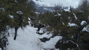 Toma de tierras en Bariloche: «No negociaremos bajo presión»