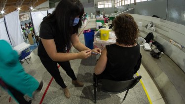 Las dosis serán distribuidas en las próximas horas a los diversos vacunatorios de Río Negro. Foto: Pablo Leguizamon