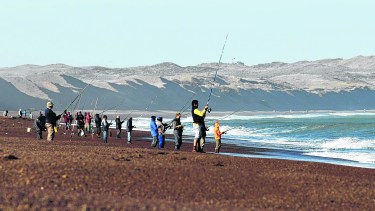 En Viedma, Bahía Rosa y la zona del “Tamarisco” son el mejor lugar. Foto: Marcelo Ochoa