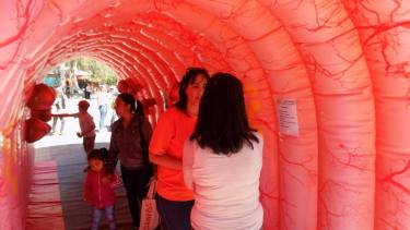 La urgencia para ir al baño es un factor importante de las enfermedades inflamatorias intestinales