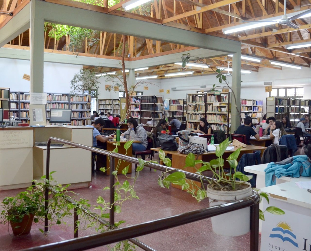 Los alumnos podrán acceder nuevamente a los textos de la biblioteca que funciona en la Facultad de Roca. (foto: archivo)