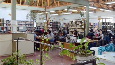 Los alumnos podrán acceder nuevamente a los textos de la biblioteca que funciona en la Facultad de Roca. (foto: archivo)