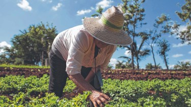 Agroecología aplicada: ciencia, tecnología y saberes ancestrales