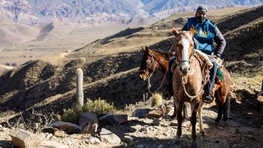 El operativo incluye un recorrido de 12 horas en mula para llegar al local de comicios más remoto del país, ubicado en el paraje El Durazno en la provincia de Jujuy.

