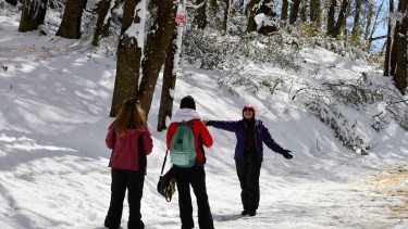 El camino que sube al cerro Otto desde el kilómetro 1 de Pioneros tiene nieve a partir de Piedras Blancas. Foto: Chino Leiva