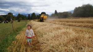 Producen alimentos orgánicos en medio del paraíso