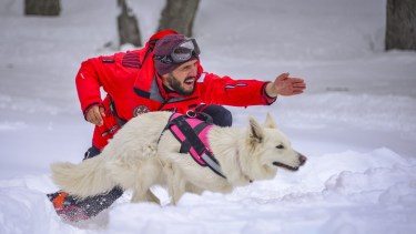 Este programa que inició Bosque de los Huskies de Chapelco.
