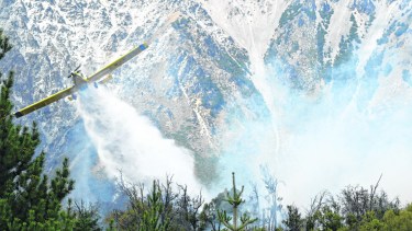 Los incendios en la Comarca Andina del verano pasado consumieron bosques y viviendas. Foto: archivo