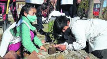 Imagen de La Región Sur suma 45.000 árboles a la lucha contra la desertificación