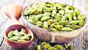 “Las santas especias”: la sabiduría de la naturaleza