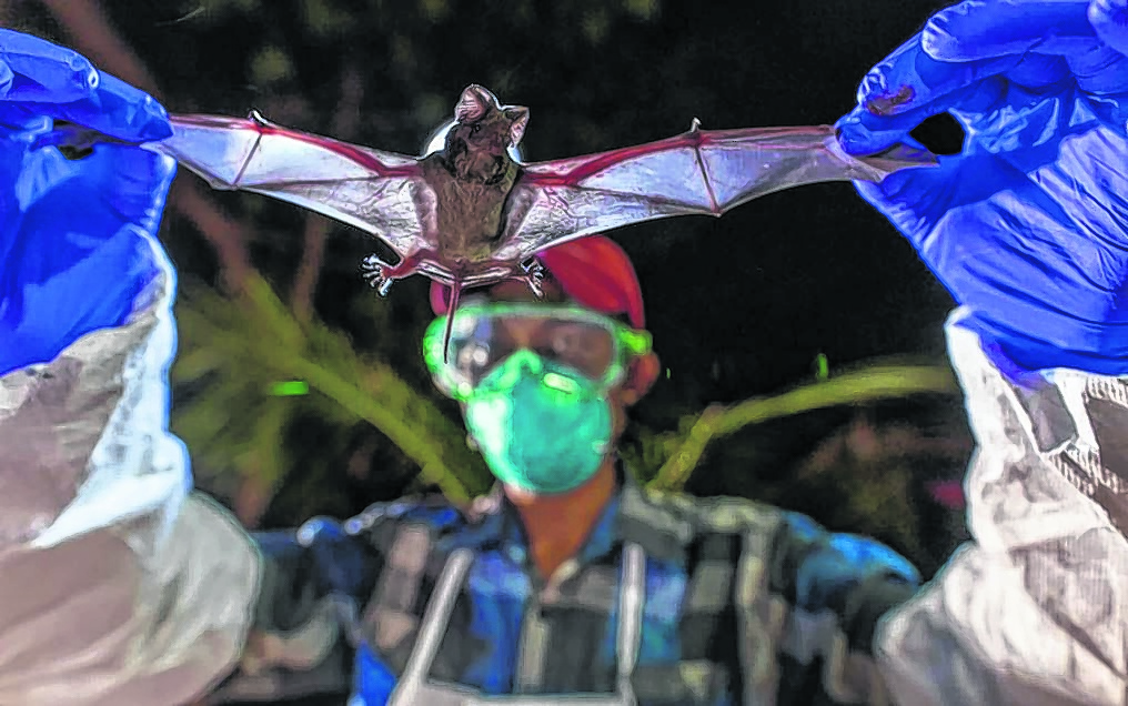 Los investigadores llevaron a cabo entre finales de 2020 y principios de 2021 una misión en Laos para estudiar murciélagos. 