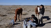 Imagen de Se intensifican los trabajos para establecer las reservas de agua en Jacobacci